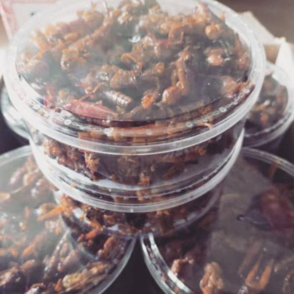 

ZAA5->7D Belalang Goreng Enak / Walang Goreng Kemasan Toples 100 Gram [BS4]