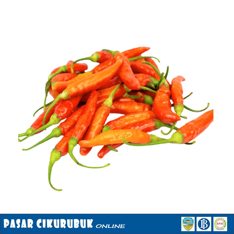 

Sayur - Cabai Rawit Domba 100 gr