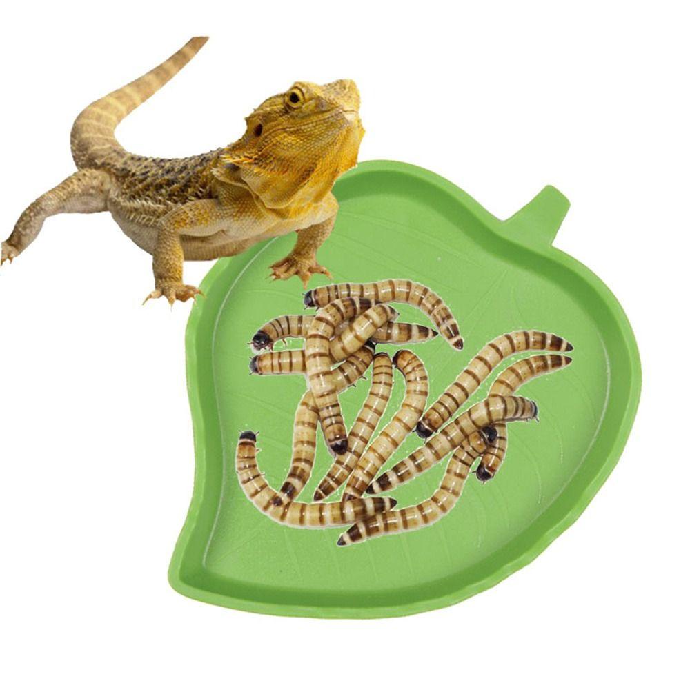 [Elegan] Baskom Reptil Plastik Amfibi Air Drinker Perlengkapan Hewan Peliharaan Baskom Makan Feeding Kit Food Dispenser Bowl Crawler Bowl