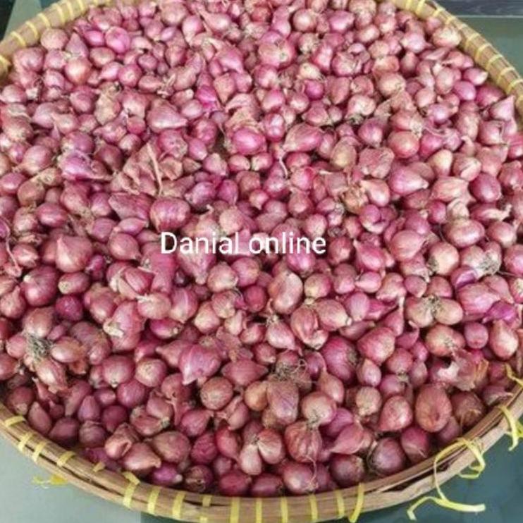 

PROMO SPESIAL Bawang Merah Probolinggo Ukuran Tanggung 1kg ❀ 856