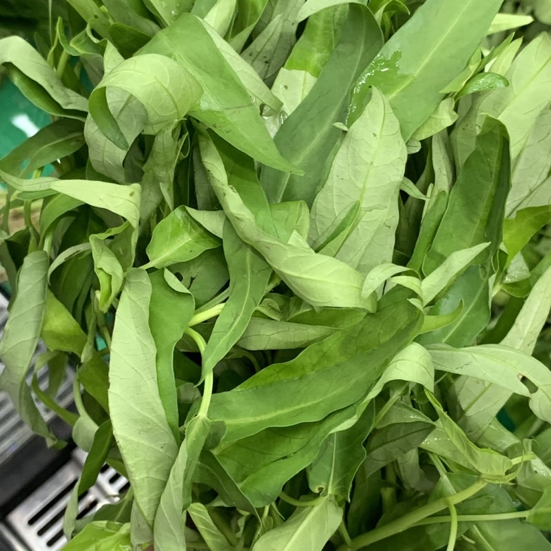 KANGKUNG KUALITAS PREMIUM (KHUSUS SAMEDAY DAN INSTAN)