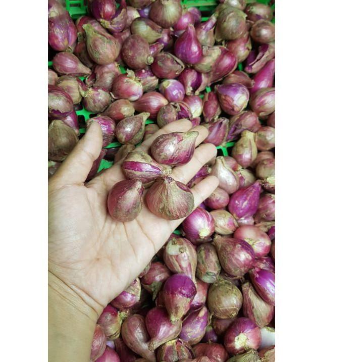 

✨12.12✨ COD Bawang merah murah brebes 1 kg buruan