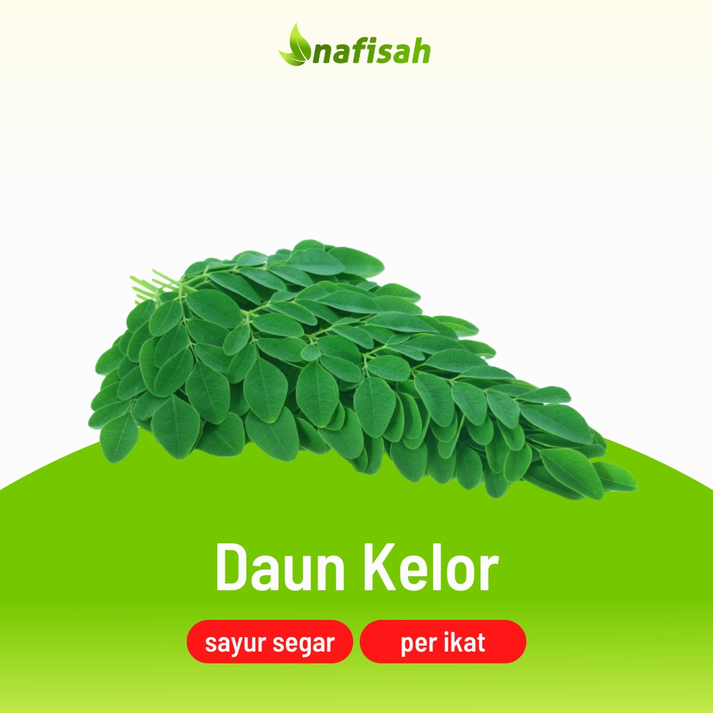 

Daun Kelor Segar per Ikat