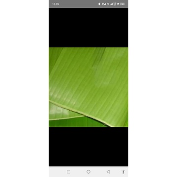 

daun pisang