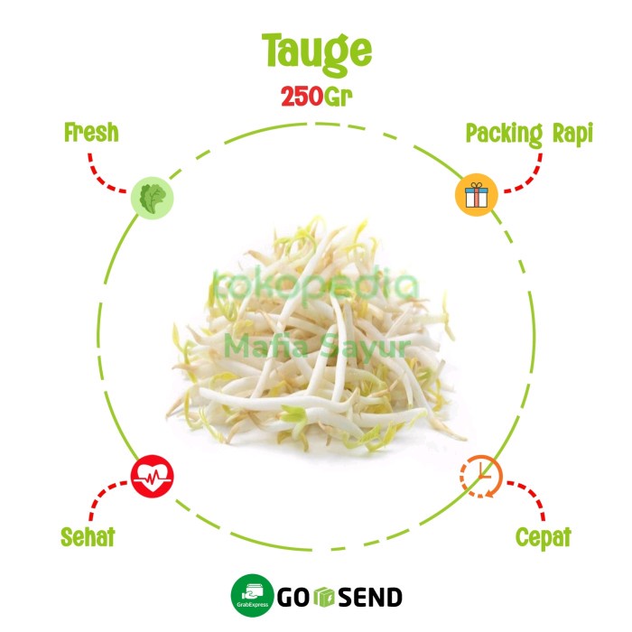 

TAUGE / KECAMBAH / CAMBAH SAYUR / SPROUTS