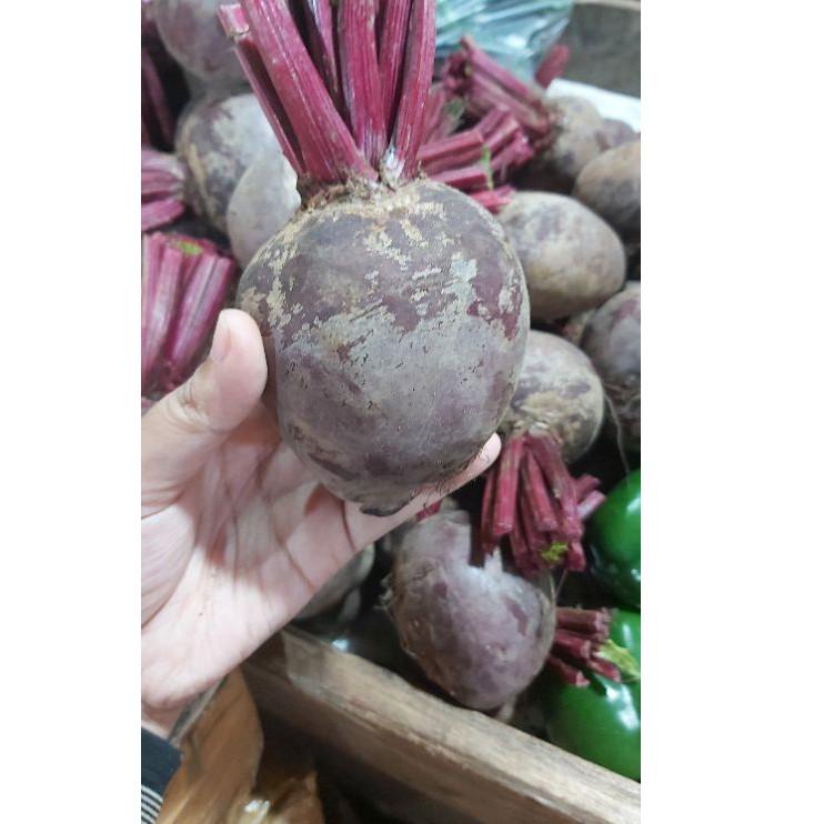 

SPECIAL PRICE Beet Root / Bit Per Kg / Produk Langka € 857