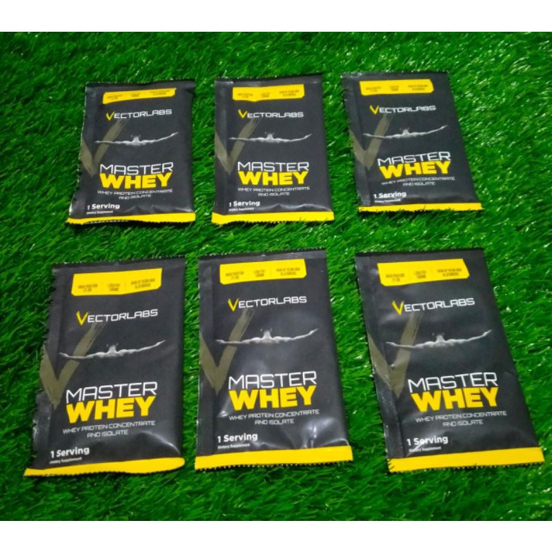 VECTORLABS MASTER WHEY SACHET