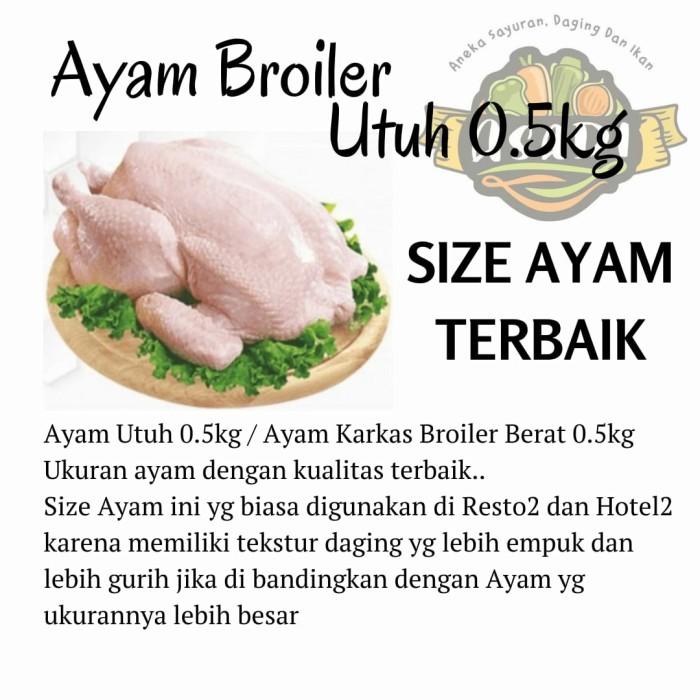 

Frozen Ayam Utuh 1 Ekor Fresh Best Seller