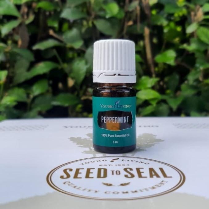 Peppermint Essential Oil Young Living Sealed Ylls (5Ml) Osinaamra