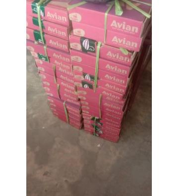 

㊌ CAT MINI AVIAN Cat Kayu Besi kecil 25cc /CAT KECIL AVIAN 25ml WARNA LENGKAP Glossy MR98