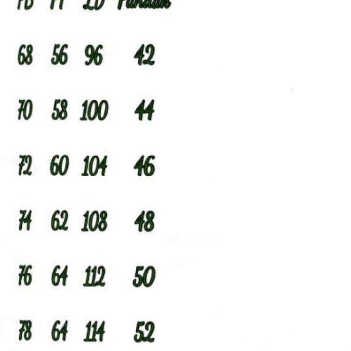 Paling Diminati JAS FATAYAT RESMI NASIONAL SATU SET / JAS WANITA RESMI  FATAYAT NU