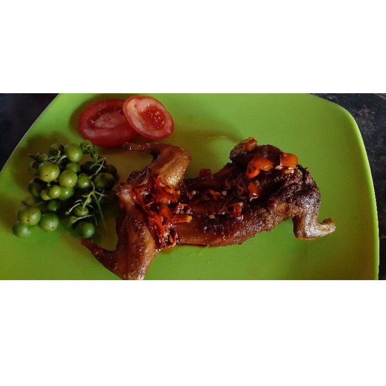 

(Y-H4H-㊚) DAGING TUPAI UNGKEUP SIAP GORENG PER 1 EKOR - DAGING BAJING KELAPA - DAGING TUPAI KELAPA SIAP GORENG banyak diminati