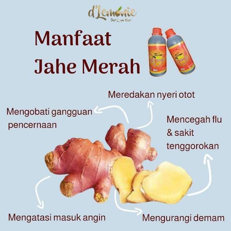 

Rajanie 500 ml/Rajanie Jahe Merah Herbal