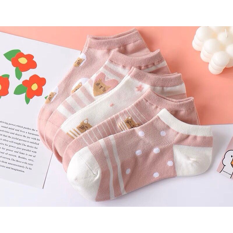 Kaos Kaki motif kucing  AXXM Motif Cat Kaos Kaki Pendek Lucu Dewasa Ankle Socks  kaus Kaki Pendek Kaos Kaki Motif Lucu Dewasa pria wanita
