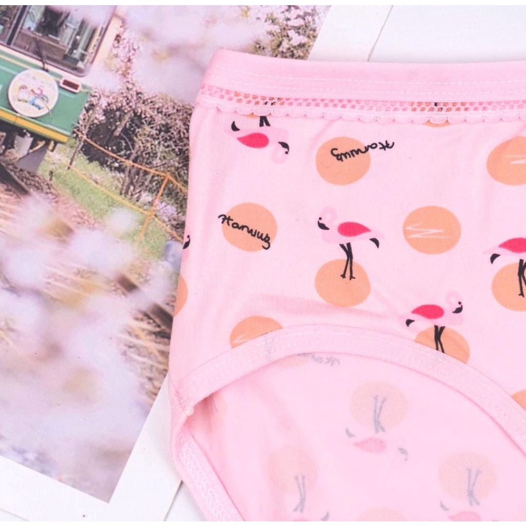 LUSINAN!! Celana Dalam Motif LUCU Cd Wanita Sexy Pakaian Dalam Medel Korea Import Super Lembut