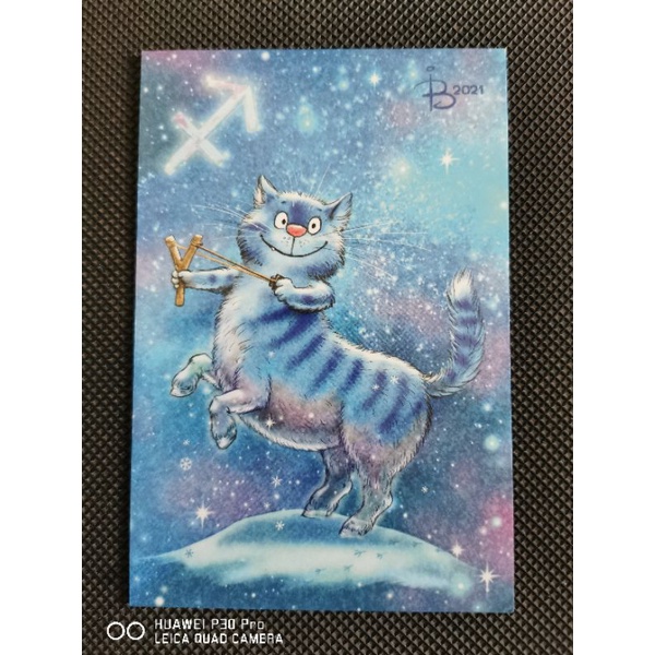 

kartu pos kucing bluecat/bluecat postcard