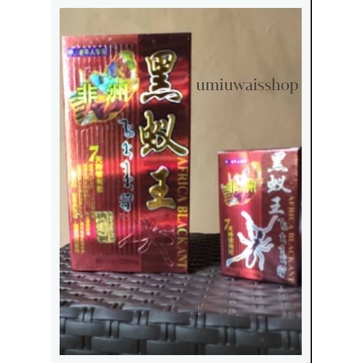 

Ready !!! Semut Afrika Black Art *