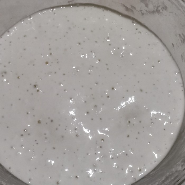 

Ragg Ragi Alami / Sourdough Starter Murah @30Gr