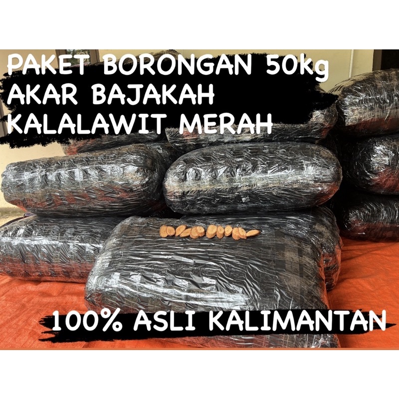 

Paket Borongan 20kg Akar Bajakah Kalalawit Merah Asli Kalimantan