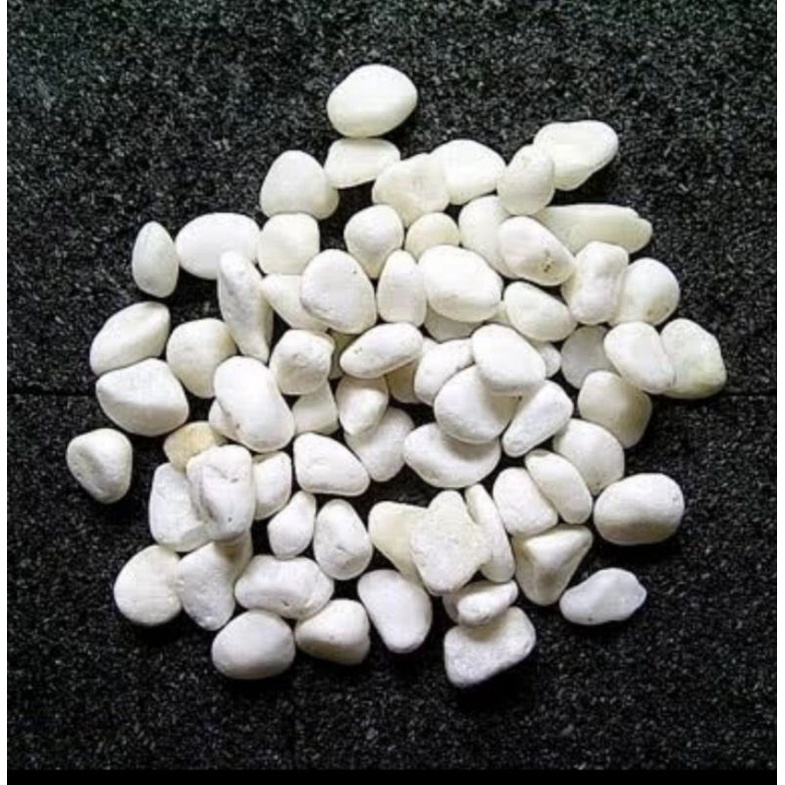 batu alam putih italy / coral koral hiasan aquarium aquascape / itali white stone / media hias dekor