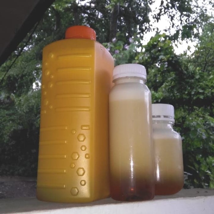 

Madu Sumbawa Super cuarh 1kg Murni