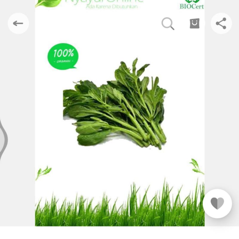 

Daun gingseng segar sayuran organik 250 gr