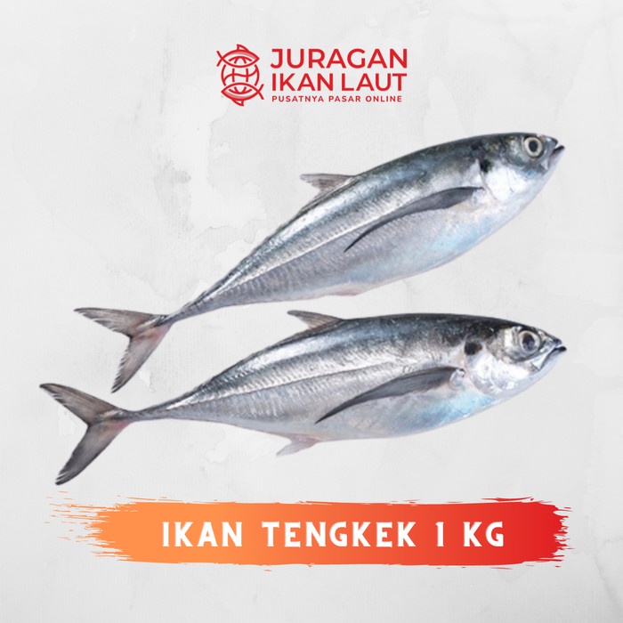 

Ikan Tengkek Segar Berkualitas - 1 Kilogram