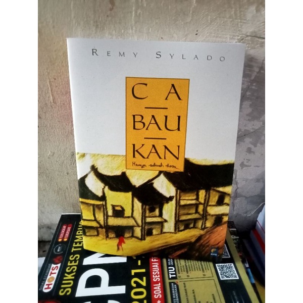 

CA. BAU. KAN. BY REMY