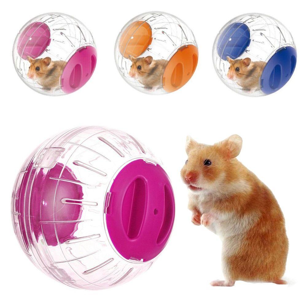 Solighter Hamster Running Ball Transparan Gerbil Rat Rodent Mainan Latihan