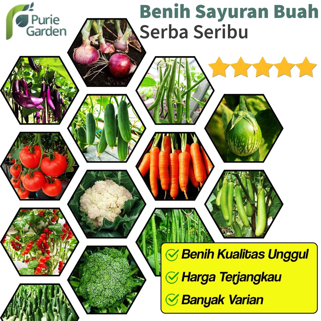 Bibit Benih Seribuan Sayuran Buah Brokoli Buncis Timun Terong Tomat dll KDR