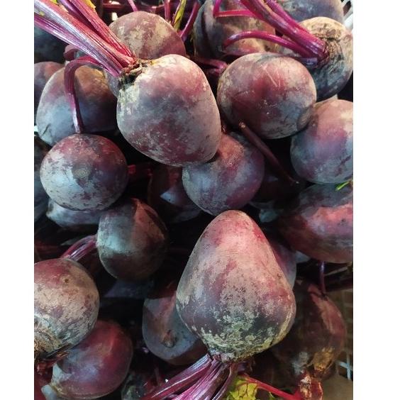

Terbaru✴ buah bit 1 kg 97 ☊