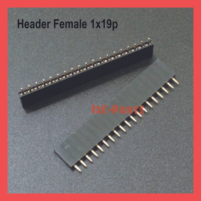 Header Female 1x19 Pin 2.54mm Single Row Lurus 1x19p for ESP-32 38pin