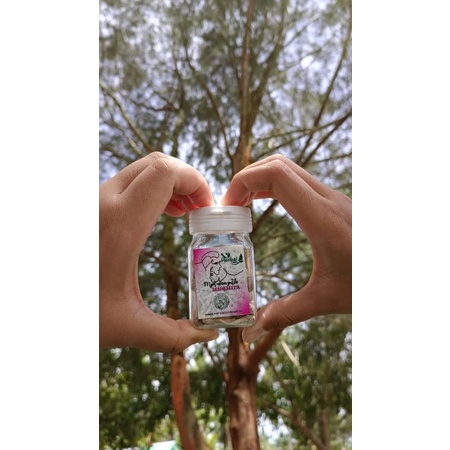 MPOT AYAM MANJALITA PUTIH