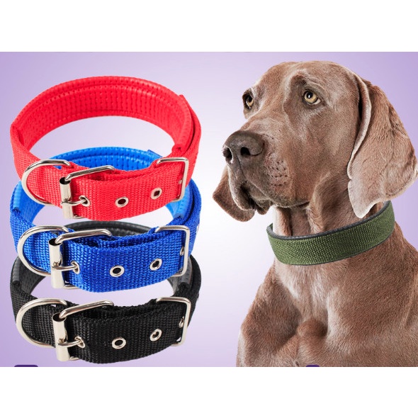 Kalung Kain Untuk Anjing Doggy Pet - Dog Collar Nylon Model Gesper