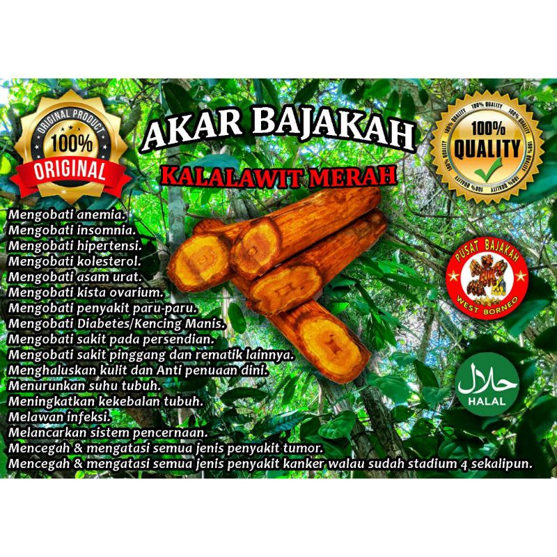 

Akar Bajakah Original 125gr