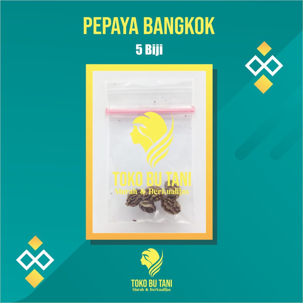 Benih Buah Pepaya Bangkok Bibit Buah Pepaya Bangkok Benih Buah-buahan Berkualitas