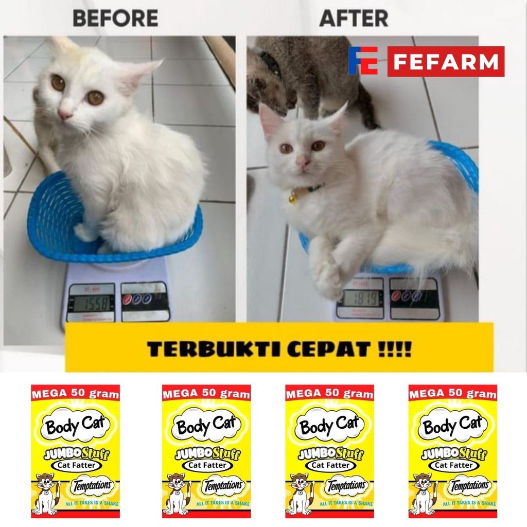 BodyCat 50g Vitamin Penggemuk Kucing Sachet Bubuk Nutrisi Powder BodyCat FEFARM