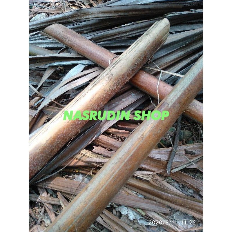 

[Fresh] PELEPAH DAHAN POHON SAGU ATAU RUMBIA UNTUK PRAKARYA