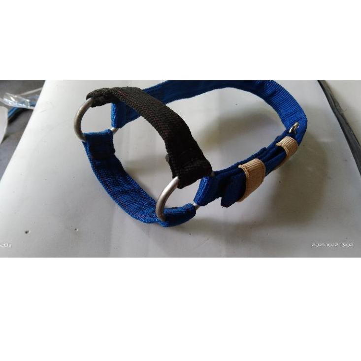 Super Gembira brangus domba / kambing