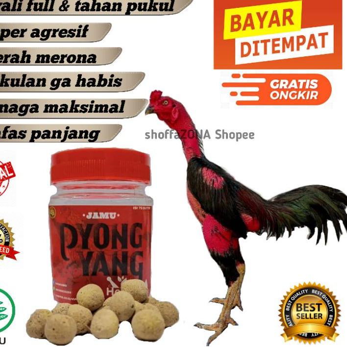 New - Pyongyang Jamu Ayam Aduan Kuat Nafas Dan Tenaga Doping Ayam Aduan