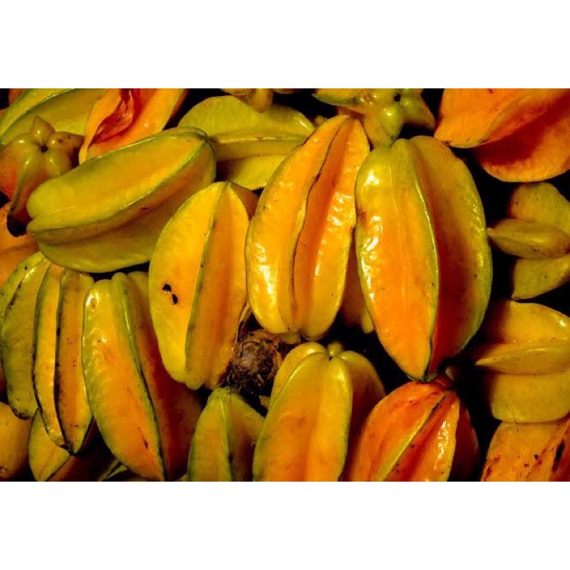 

Belimbing Madu