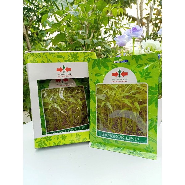 BENIH/BIBIT KANGKUNG BANGKOK LP-1
