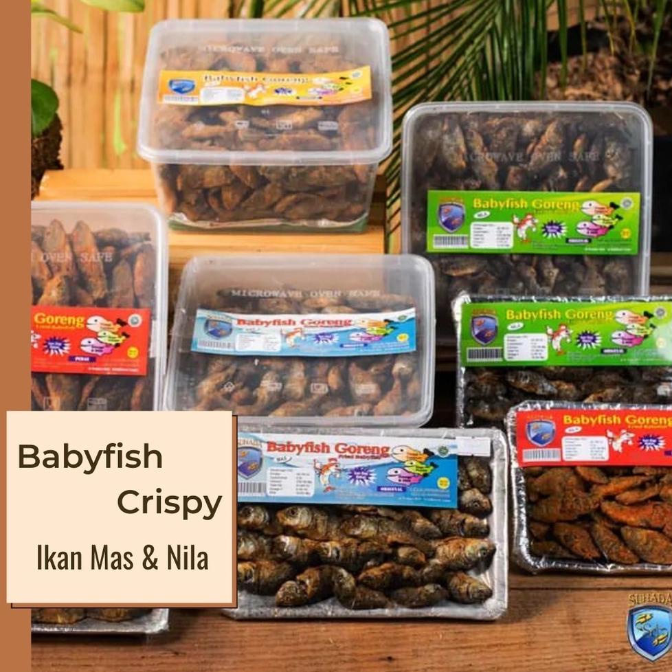 

(H-8-Q✓) SUHADAFOOD - BABYFISH CRISPY IKAN NILA & MAS ASLI ENAK BERGIZI 100GR top produk