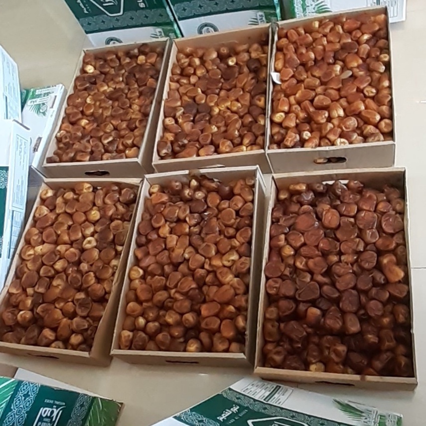 

kurma sukari alqasim 3kg / sukari amira dus kurma grade A