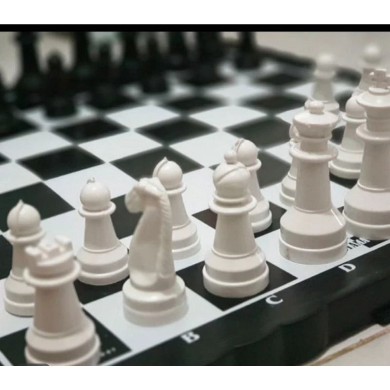 CATUR PLASTIK UKURAN L