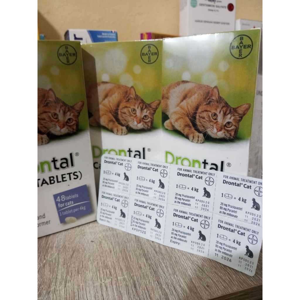 DRONTAL CAT KUCING 1 TABLET - Obat Cacing Kucing Ampuh