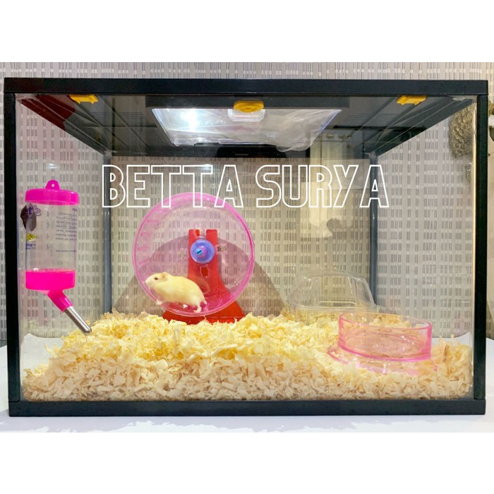 PAKET KANDANG HAMSTER RUMAH HAMSTER BOX HAMSTER & MAINAN HAMSTER CARGO - M 36X22X26