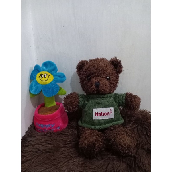 Preloved Boneka Teddy Bear Kostum