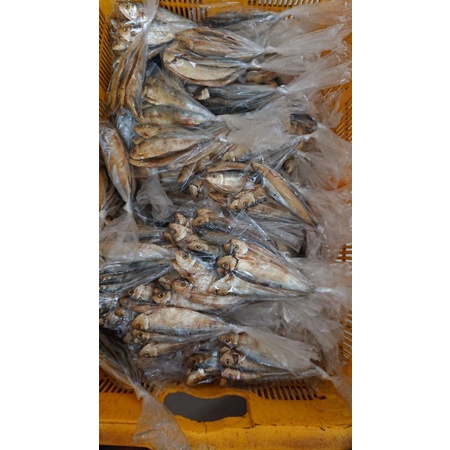 

ikan asin tembang tanjan merah