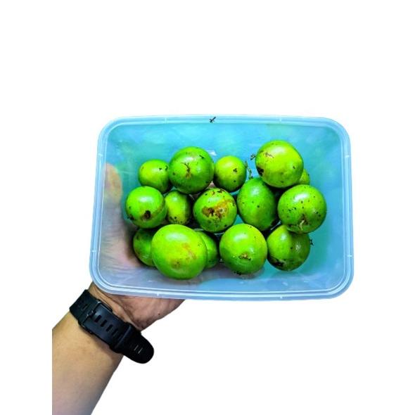 

[A-7@U ♥) Buah Jatake Gandaria 500gr No po siap kirim berkualitas
